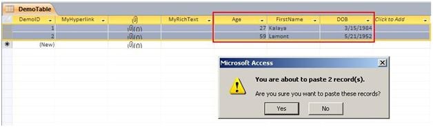 MS Access paste as fields result