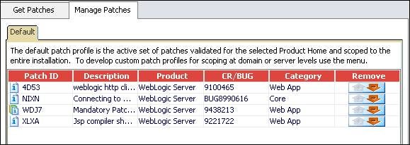 Oracle Smart Update showing the applied patches
